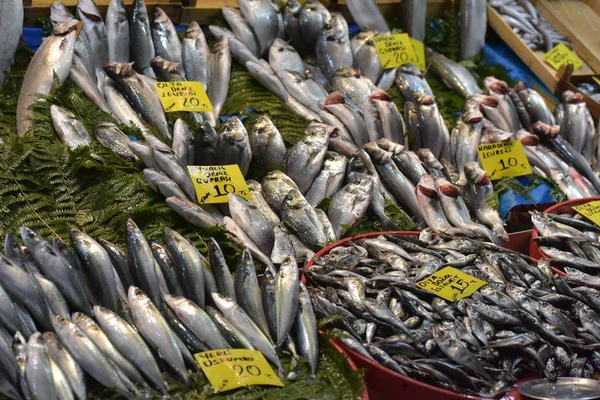 Turquia Istambul 2018 Grande Variedade Peixes Mercado Peixe Istambul — Fotografia de Stock