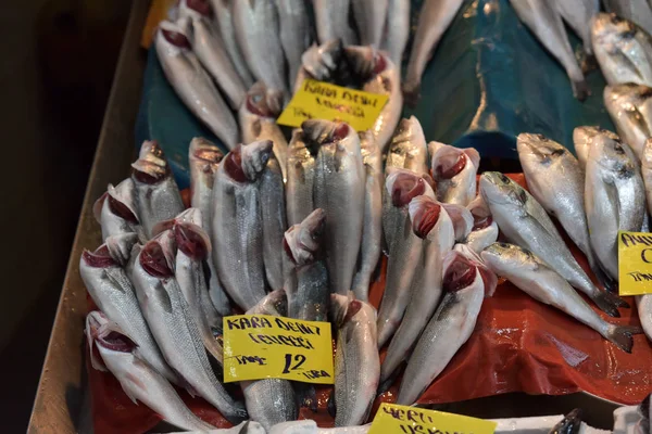 Turquia Istambul 2018 Grande Variedade Peixes Mercado Peixe Istambul — Fotografia de Stock