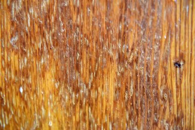 dirty fouled wooden background close up clipart