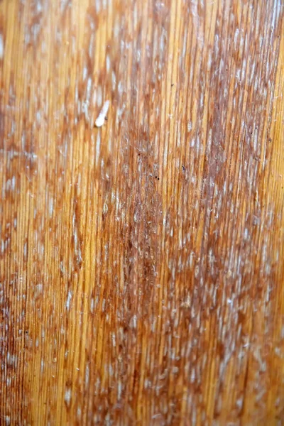 汚れて汚された木製の背景をクローズ アップ — ストック写真