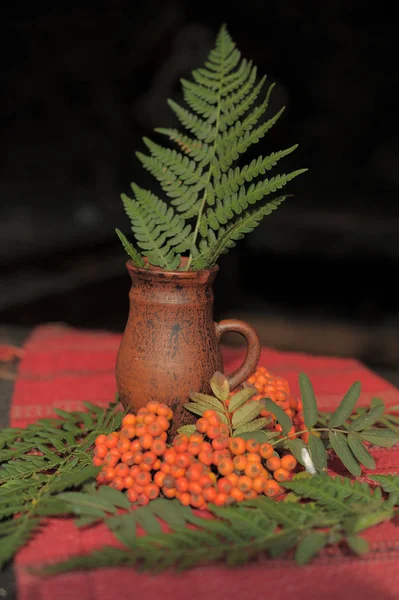 Keramiska Tillbringare Bordsduk Och Rowan Bär Ormbunke Lämnar Stilleben — Stockfoto