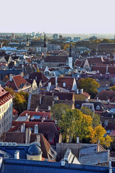 Estonya Tallinn Gözlem Güverte Yukarıdan Kentin Çatıları 2014 Görünümünü — Stok fotoğraf