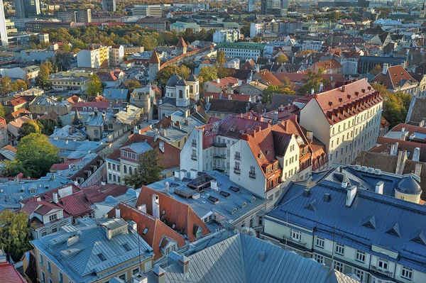 Estonya Tallinn Gözlem Güverte Yukarıdan Kentin Çatıları 2014 Görünümünü — Stok fotoğraf