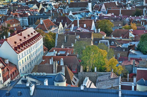 Эстония Таллин 2014 Вид Крыши Города Сверху Смотровую Площадку — стоковое фото