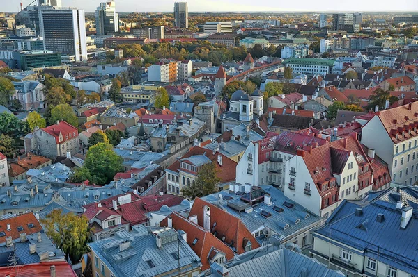 Estonya Tallinn Gözlem Güverte Yukarıdan Kentin Çatıları 2014 Görünümünü — Stok fotoğraf