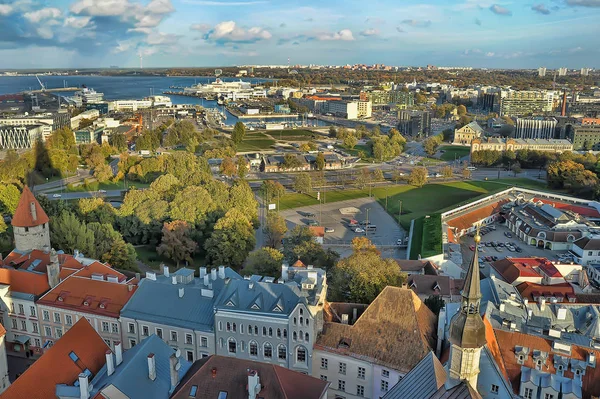 Estonya Tallinn Gözlem Güverte Yukarıdan Kentin Çatıları 2014 Görünümünü — Stok fotoğraf