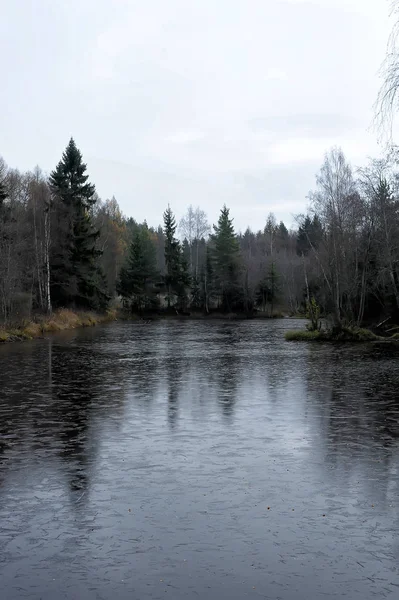 Hösten Sjön Täckt Med Första Tunn — Stockfoto