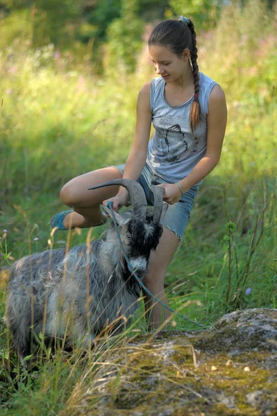 Girl Teenager Gray Goat Outdoor — Stock Photo, Image