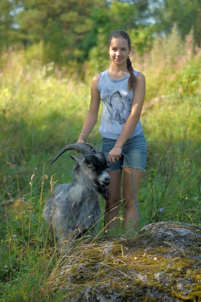Girl Teenager Gray Goat Outdoor — Stock Photo, Image