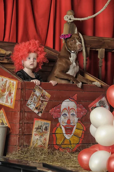 Menina Palhaço Cão Treinado Olham Para Fora Caixa Circo — Fotografia de Stock