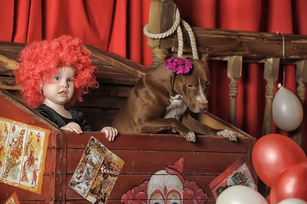 Little Girl Clown Trained Dog Look Out Box Circus — Stock Photo, Image