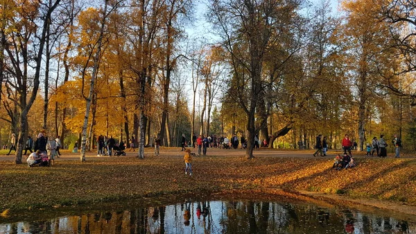 Rússia Pushkin 2018 Autumn Park Com Uma Ilha Canais Pessoas — Fotografia de Stock