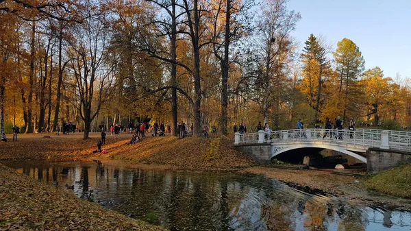 Rússia Pushkin 2018 Autumn Park Com Uma Ilha Canais Pessoas — Fotografia de Stock