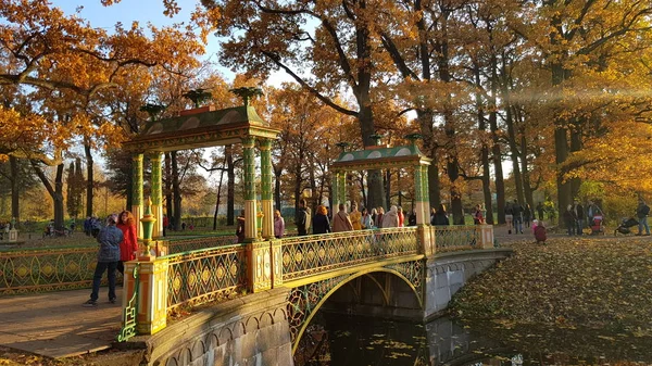 Russia Pushkin 2018 Ponte Cinese Minore Nel Parco Alexander San — Foto Stock