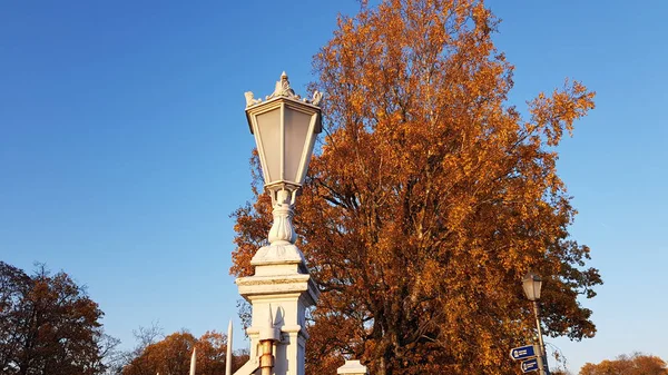 Lanternas Brancas Cerca Árvores Outono — Fotografia de Stock