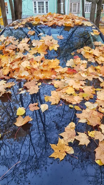 Осенние Кленовые Листья Капоте Автомобиля Отражение Деревьев — стоковое фото