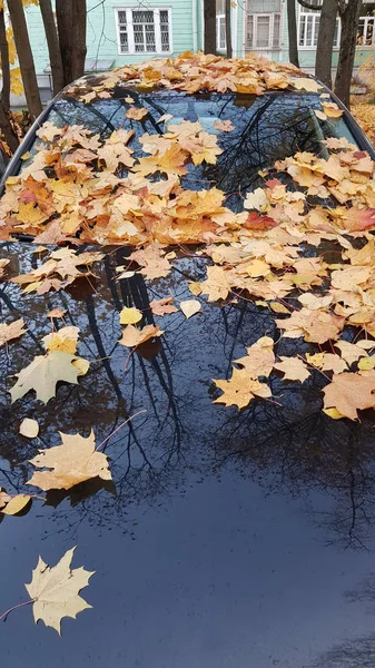 Herbst Ahornblätter Auf Der Motorhaube Eines Autos Und Die Reflexion — Stockfoto