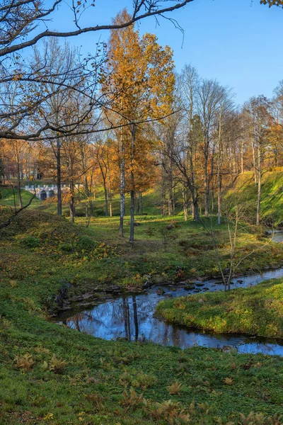 Autumn Landscape Stream Oranienbaum Park — Stock Photo, Image