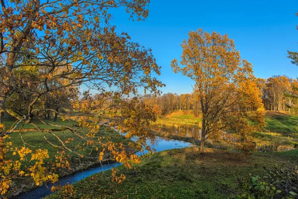 Осенний Пейзаж Поток Парке Ораниенбаум — стоковое фото