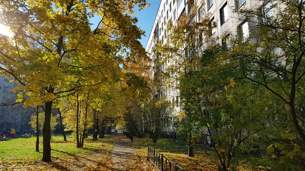 Rosja Petersburg 2018 Ścieżkę Dziedzińcu Budynku Mieszkalnego Usiana Jesieni Pozostawia — Zdjęcie stockowe