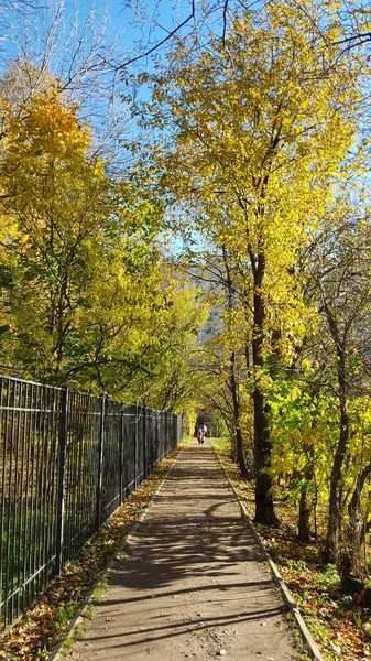 Russie Pétersbourg 2018 Chemin Dans Cour Immeuble Appartements Parsemé Feuilles — Photo