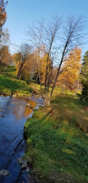 Arroyo Árboles Otoñales Con Reflexión — Foto de Stock