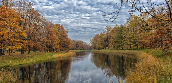 Осінні Дерева Вздовж Невеликої Річки Відображення — стокове фото