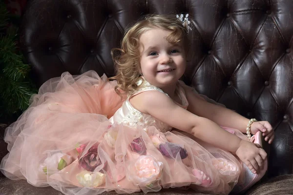 Menina Pequena Princesa Rosa Vestido Festivo Sentado — Fotografia de Stock