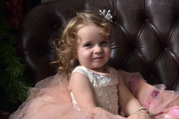 Joven Niña Pequeña Princesa Rosa Vestido Fiesta Sentado — Foto de Stock