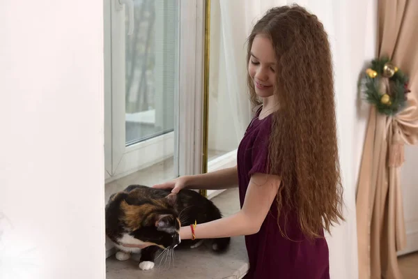 Menina Morena Criança Com Gato Seus Braços Natal — Fotografia de Stock