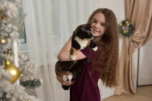 Dziewczyna Brunetka Dziecko Kotem Ramionach Boże Narodzenie — Zdjęcie stockowe