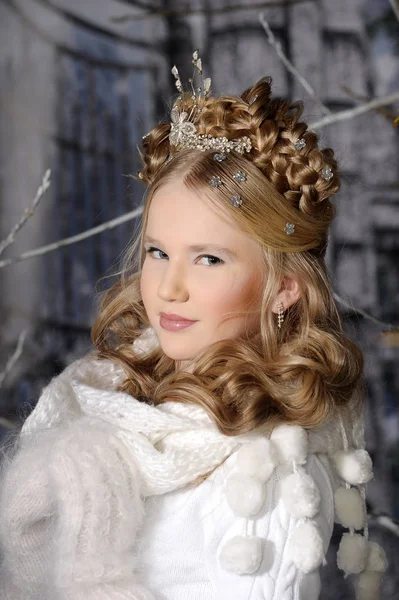 Elegante Junge Winter Prinzessin Blondine Mit Frisur Mit Zöpfen — Stockfoto