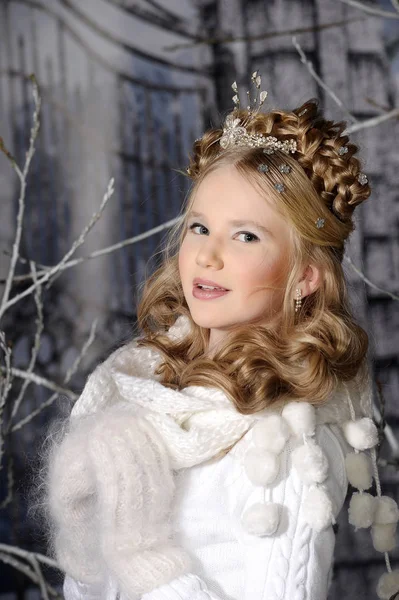 Elegante Giovane Principessa Bionda Invernale Con Acconciatura Con Trecce — Foto Stock