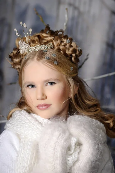 Élégante Jeune Princesse Blonde Hiver Avec Coiffure Avec Tresses — Photo