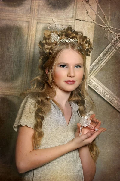 Peri Genç Kız Kış Portresi — Stok fotoğraf