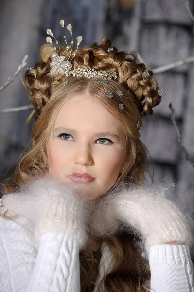 Elegant Young Winter Princess Blonde Hairstyle Braids — Stock Photo, Image
