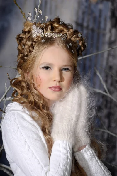 Elegante Joven Princesa Invierno Rubia Con Peinado Con Trenzas — Foto de Stock