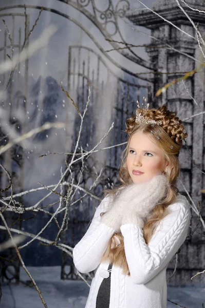 Winter Princess Beautiful Hairstyle Braids Fluffy Gloves Falling Snowflakes — Stock Photo, Image