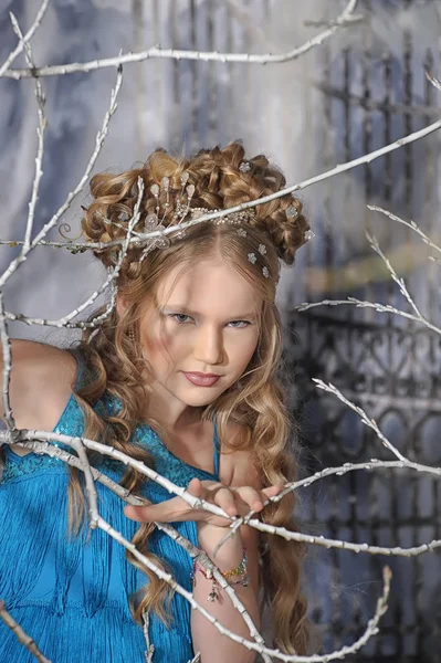 Bajki Zima Portret Młodej Dziewczyny — Zdjęcie stockowe
