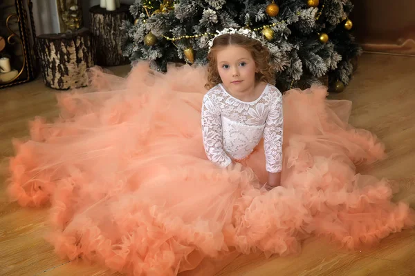 クリスマスの桃スカートで壮大なドレスの美しい若い王女 — ストック写真