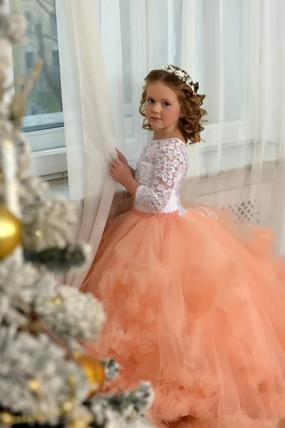 Schöne Junge Prinzessin Einem Herrlichen Kleid Mit Einem Pfirsichrock Weihnachten — Stockfoto