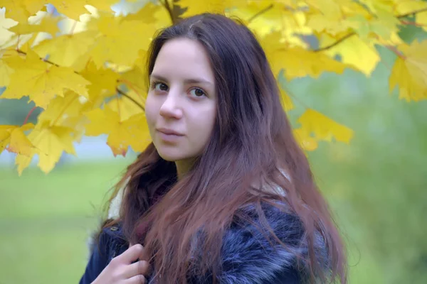 Long Haired Brunette Teenager Blue Jacket Autumn Background — Stock Photo, Image