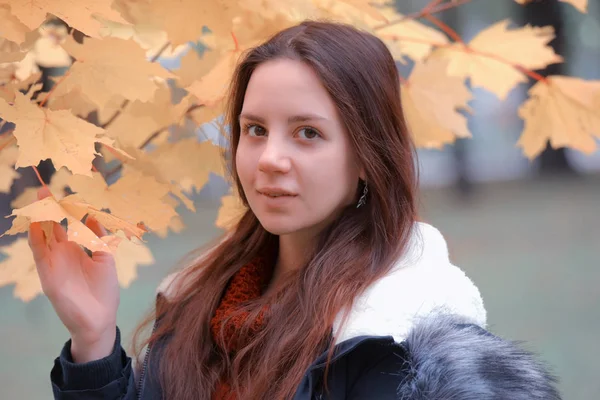 Dlouhé Vlasy Bruneta Dospívající Modrá Bunda Podzim Pozadí — Stock fotografie