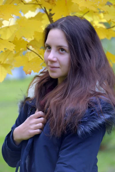 Langharige Brunette Tiener Met Een Blauwe Jas Een Herfst Achtergrond Stockfoto