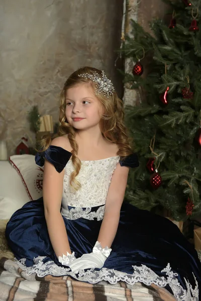 女孩在一个美丽的蓝色天鹅绒礼服坐在圣诞节 — 图库照片