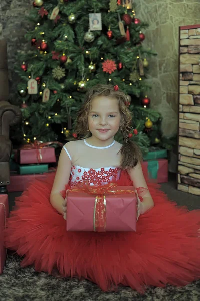 Krásná Elegantní Dívka Červených Šatech Dárky Vánoční Stromeček — Stock fotografie