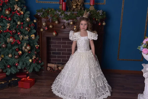 크리스마스에는 드레스에서 왕관에서 공주의 초상화 — 스톡 사진