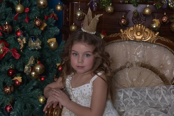 Retrato Una Niña Princesa Una Corona Vestido Blanco Navidad — Foto de Stock