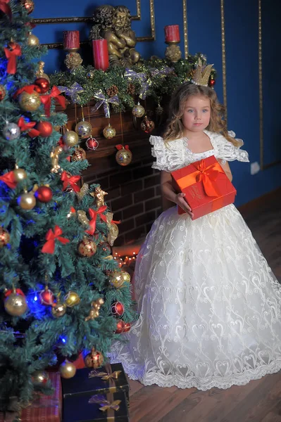 Porträt Einer Kleinen Prinzessin Einer Krone Einem Weißen Weihnachtskleid Mit — Stockfoto