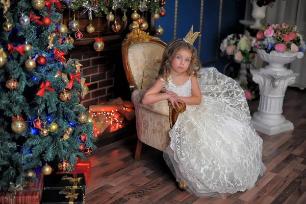 Маленькая Девочка Принцесса Короне Белом Платье Рождество — стоковое фото